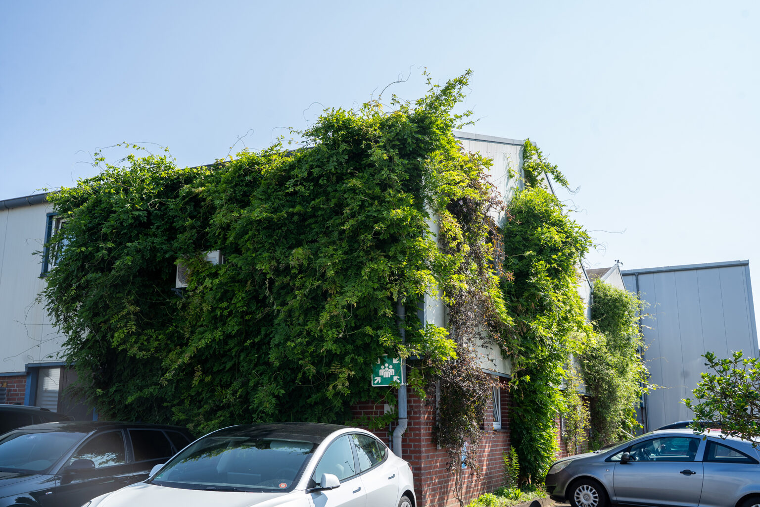 Begrünte Fassade eines Gebäudes mit Autos im Vordergrund, Nachhaltigkeit bei SPALECK.