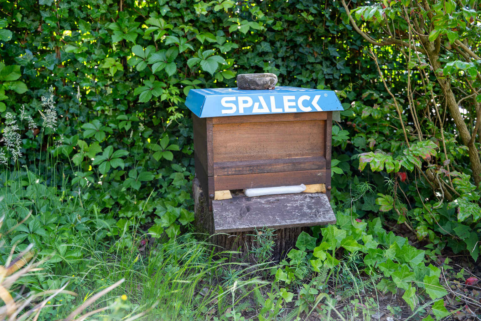 Bienenstock mit SPALECK-Logo, umgeben von grüner Vegetation.