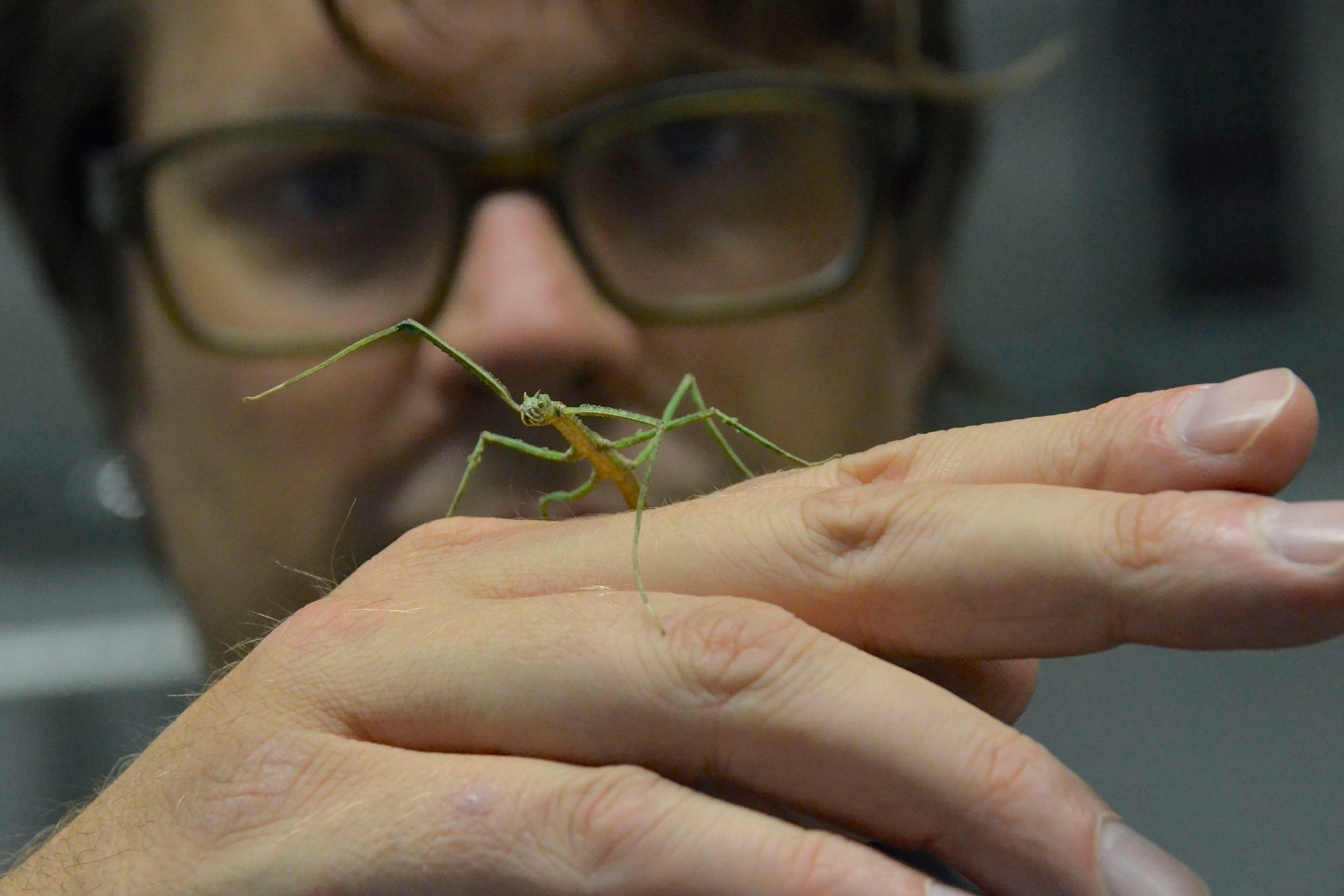 Professor Tobias Seidl of the Westphalian University of Applied Sciences, Bocholt Campus, with a grasshopper on his hand as a symbol of the bionics workshops in Bocholt